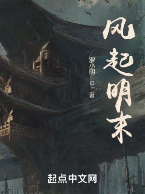 風起明末TXT八零電子書