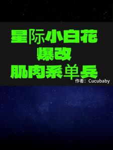 星際小白連不上網怎麼辦