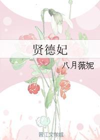 賢德妃txt