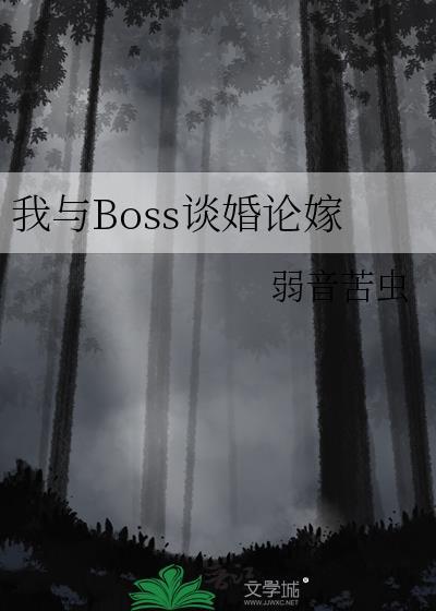 我與boss二三事