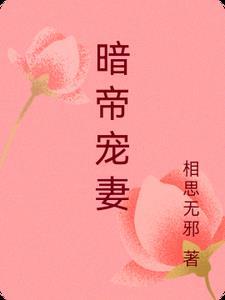 暗帝寵妻